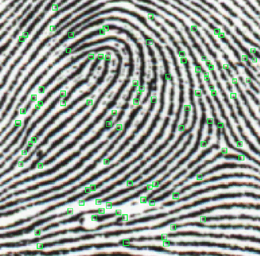 \includegraphics {fingerprint.ps}