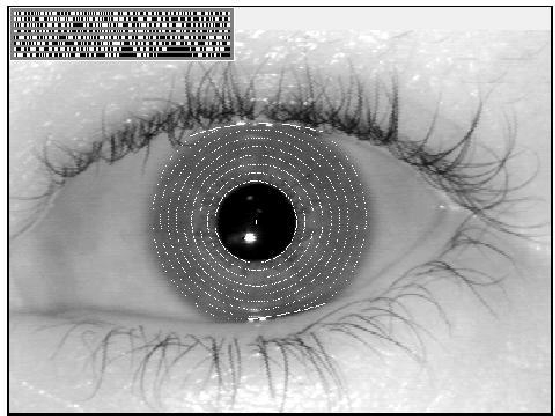 \includegraphics [width=\textwidth]{iriscode.ps}